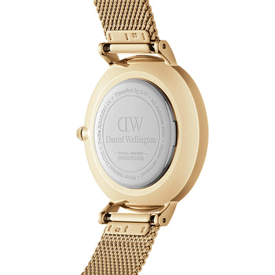 Daniel Wellington Watches Petite 2-Hand 28mm Stainless Steel Band