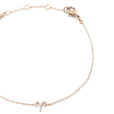 Daniel Wellington Jewelries Zodiac Collection Bracelet