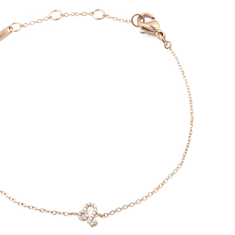 Daniel Wellington Jewelries Zodiac Collection Bracelet