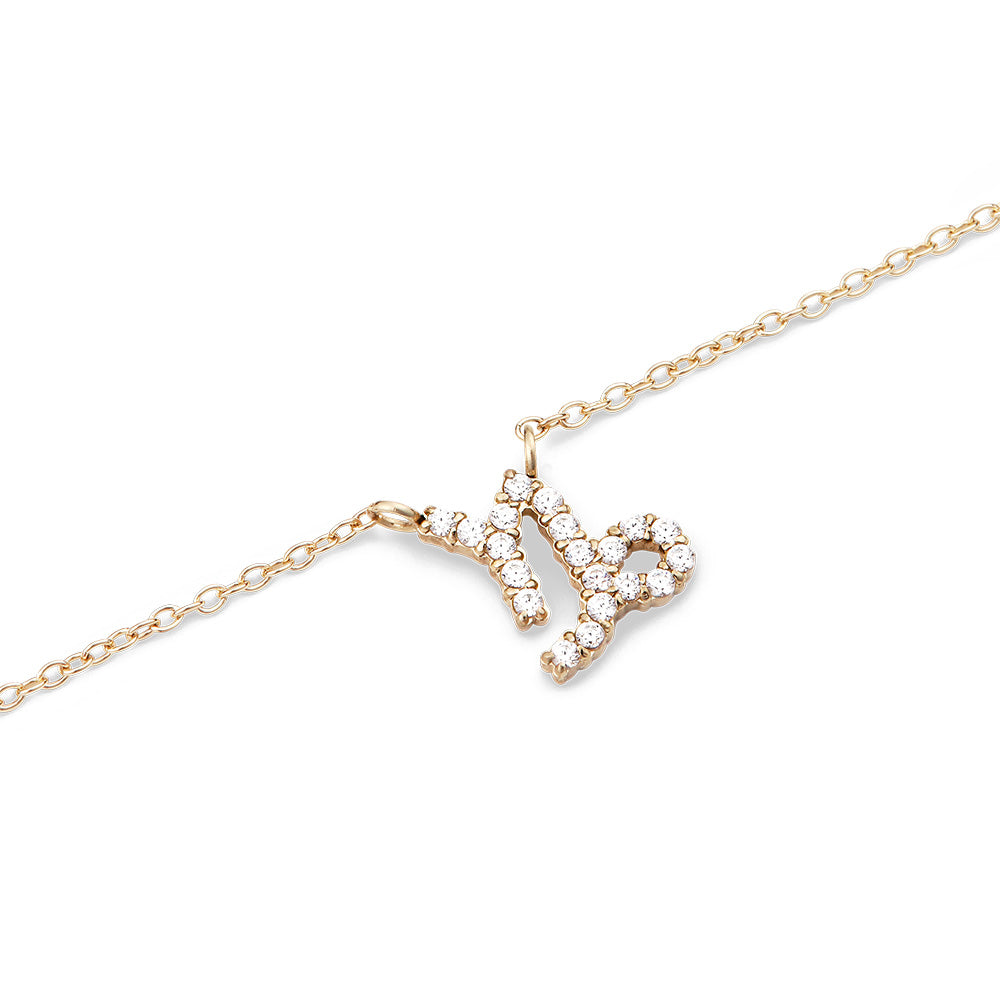 Daniel Wellington Jewelries Zodiac Collection Necklace