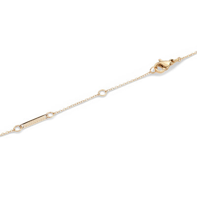 Daniel Wellington Jewelries Zodiac Collection Necklace